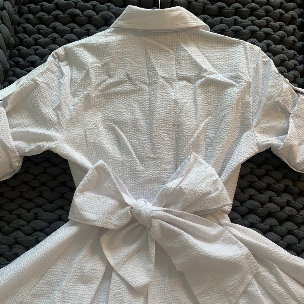 Lauren James Taylor Seersucker Dress - White, S